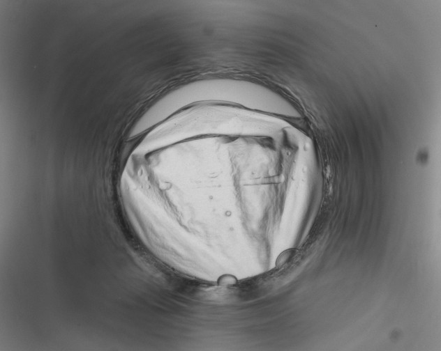 X0000116670269201001111317