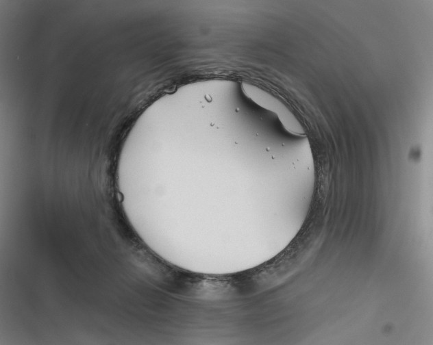 X0000116670270201001111317