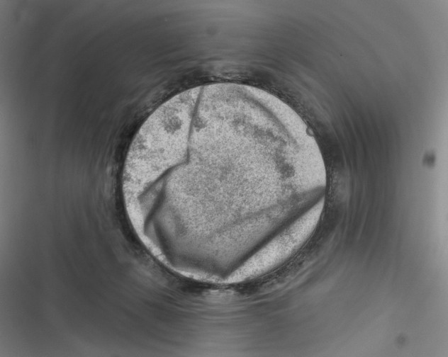 X0000116670271201001111317