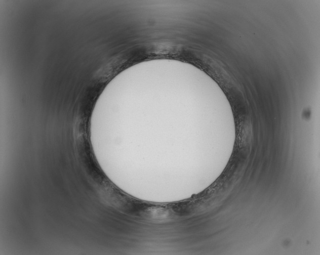 X0000116670272201001111317