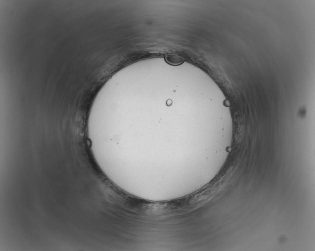 X0000116670273201001111317