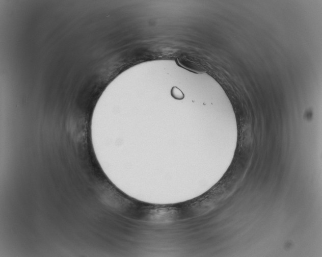 X0000116670274201001111317