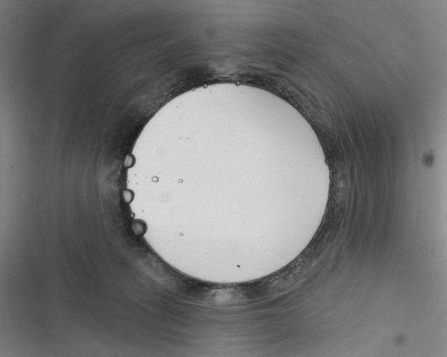 X0000116670275201001111317