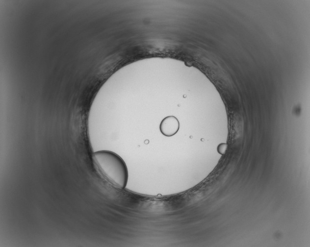 X0000116670276201001111317