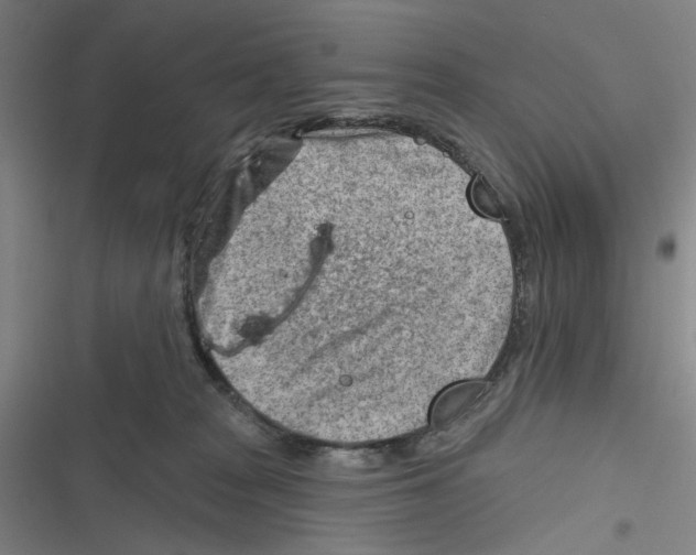 X0000116670277201001111317