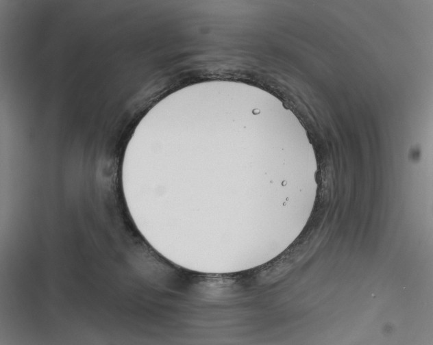 X0000116670278201001111317