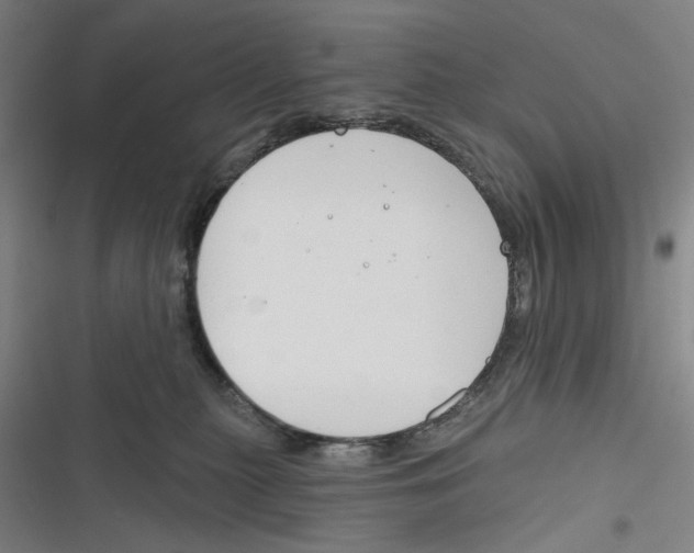 X0000116670279201001111317