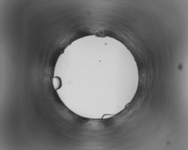 X0000116670280201001111317