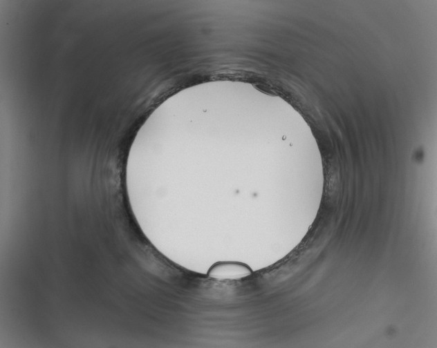 X0000116670282201001111317