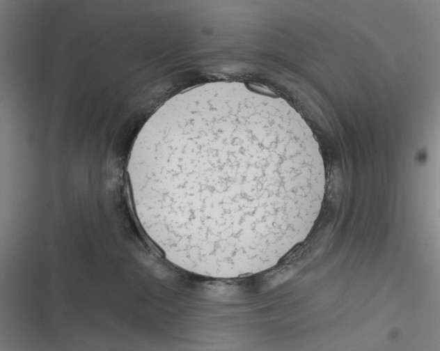 X0000116670284201001111317