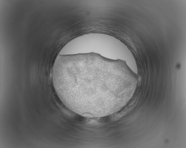 X0000116670285201001111317
