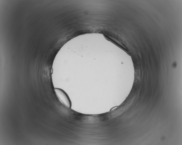 X0000116670286201001111317