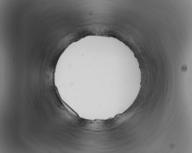 X0000116670288201001111317