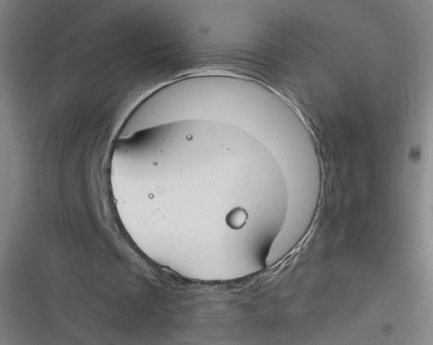 X0000116670289201001111317