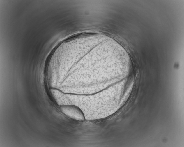 X0000116670290201001111317