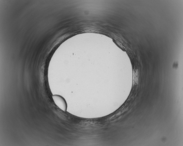 X0000116670291201001111316