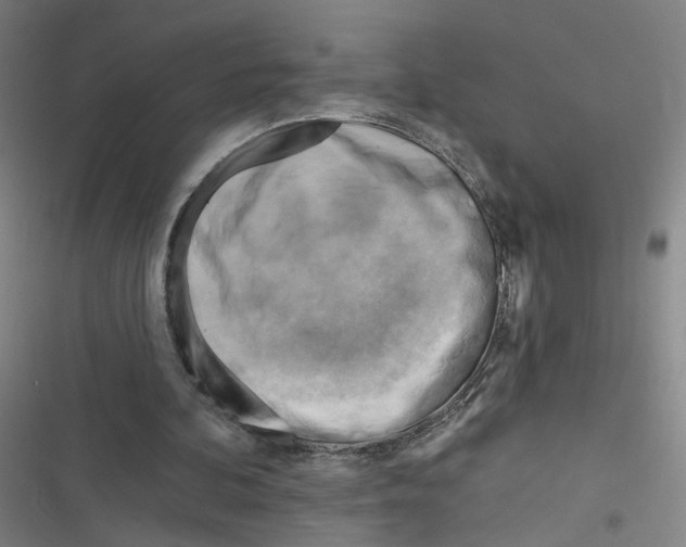 X0000116670292201001111316