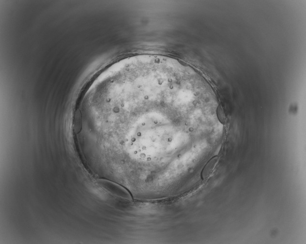 X0000116670293201001111316