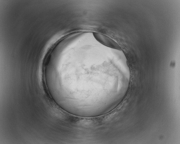 X0000116670294201001111316