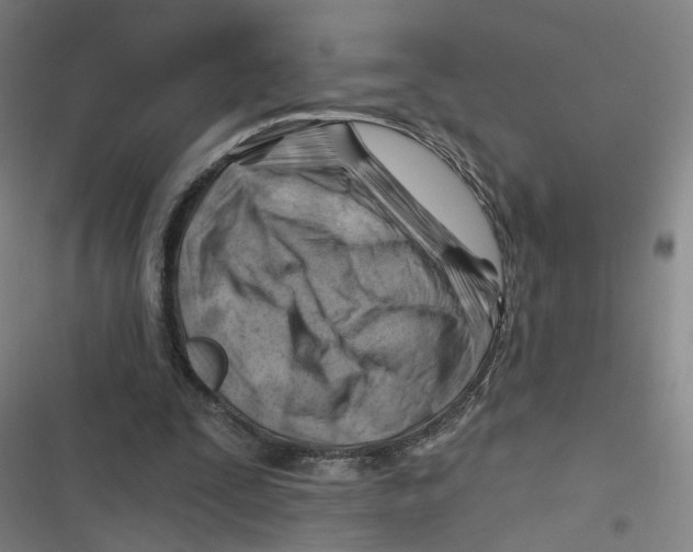 X0000116670295201001111316