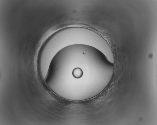 X0000116670296201001111316