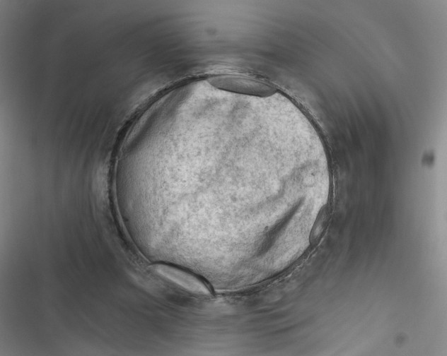 X0000116670297201001111316