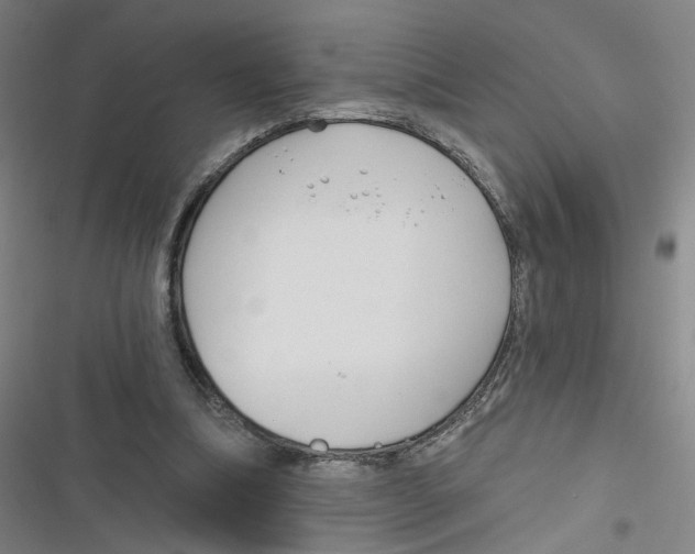 X0000116670298201001111316