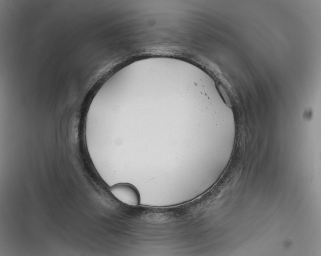 X0000116670299201001111316