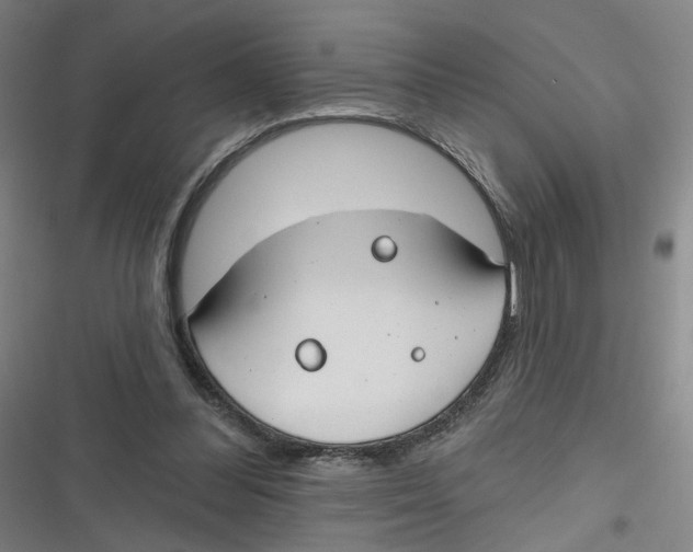 X0000116670300201001111316