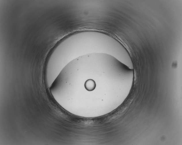 X0000116670301201001111316