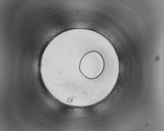 X0000116670302201001111316