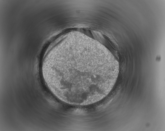 X0000116670303201001111316