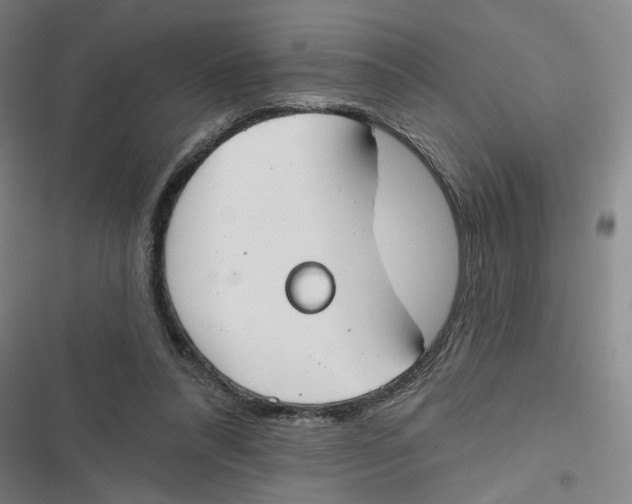 X0000116670304201001111316