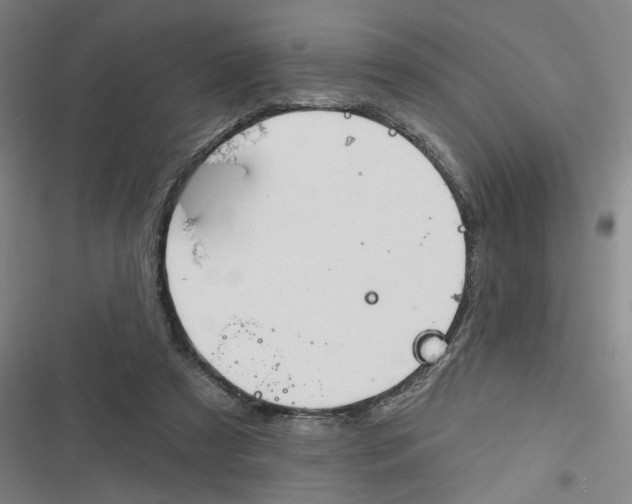 X0000116670305201001111316