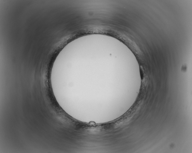 X0000116670306201001111316