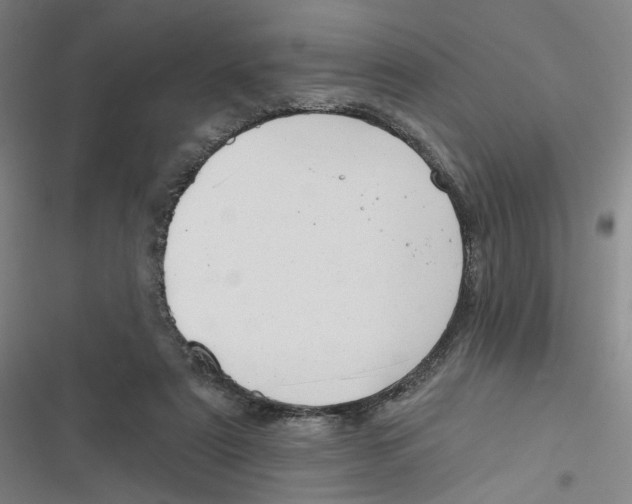 X0000116670307201001111316