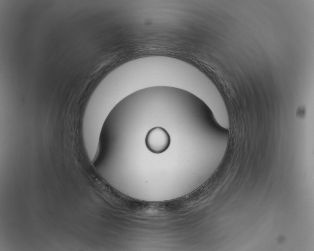 X0000116670308201001111316