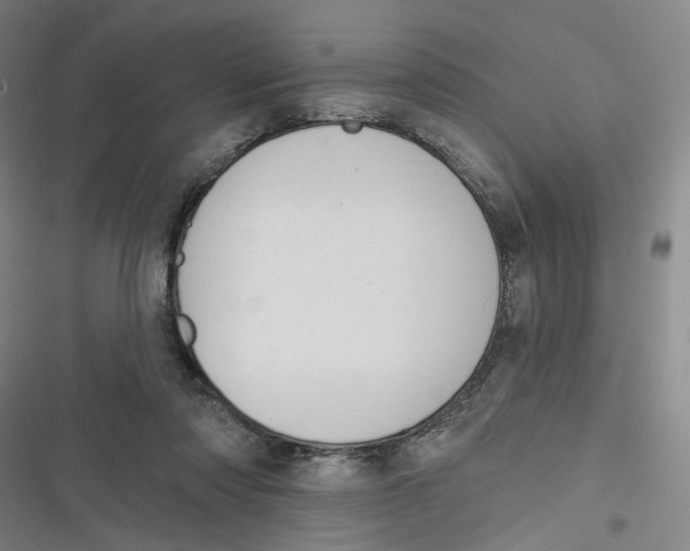 X0000116670310201001111316