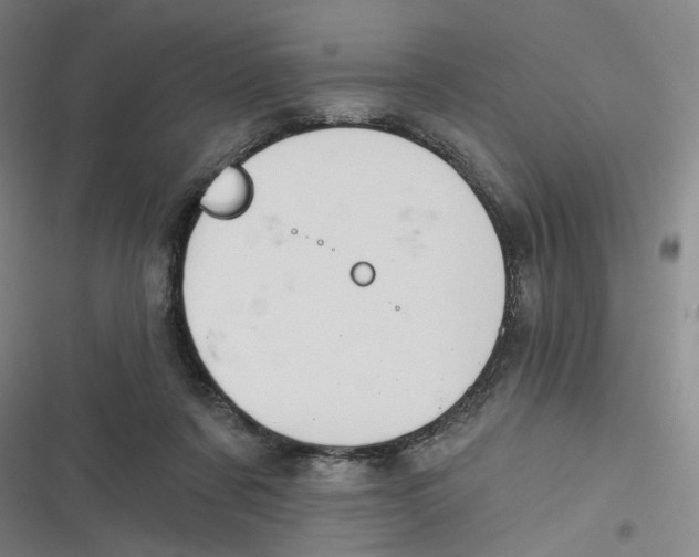 X0000116670311201001111316