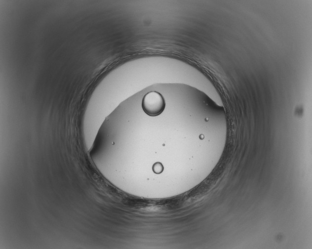 X0000116670312201001111316