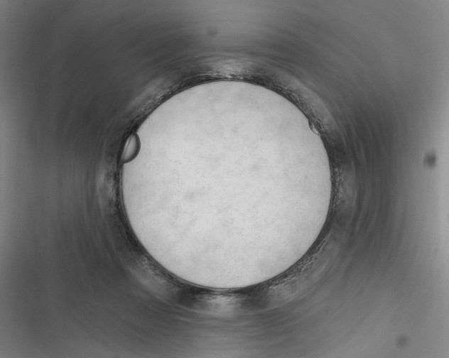 X0000116670313201001111316