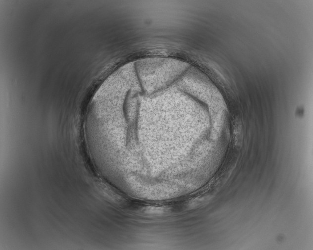 X0000116670314201001111316