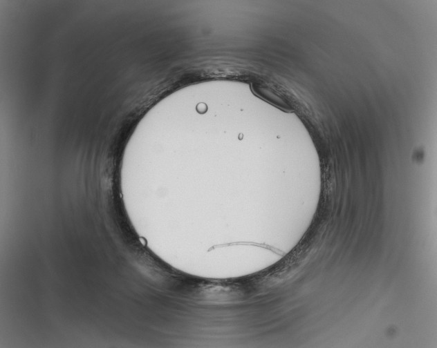 X0000116670315201001111316