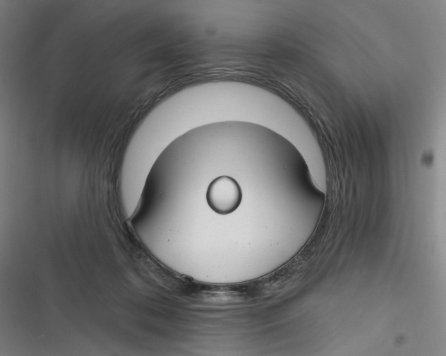 X0000116670316201001111316