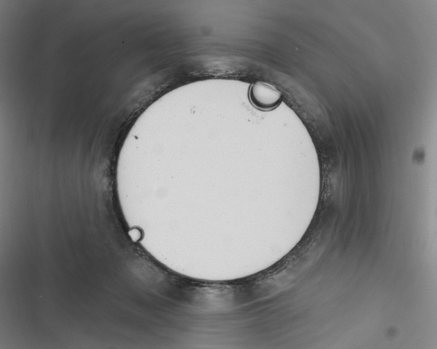 X0000116670317201001111316