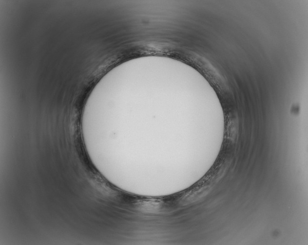 X0000116670318201001111316