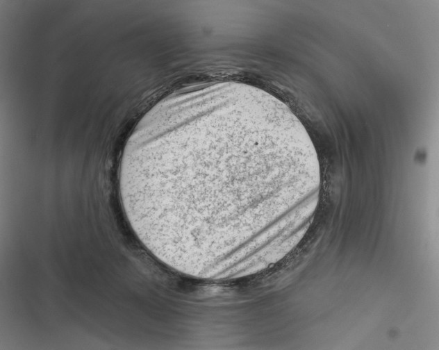 X0000116670319201001111316