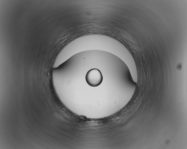 X0000116670320201001111316