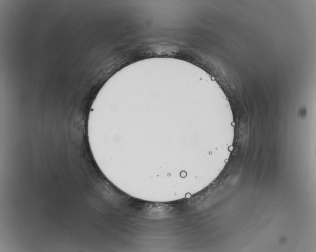 X0000116670321201001111316