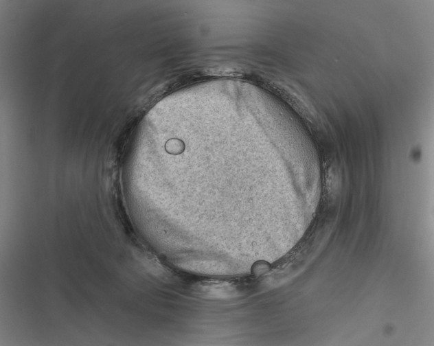 X0000116670322201001111316